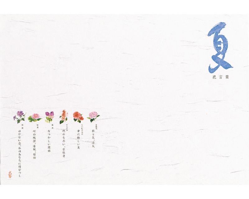 季節の敷紙（大） 花ことば　夏 