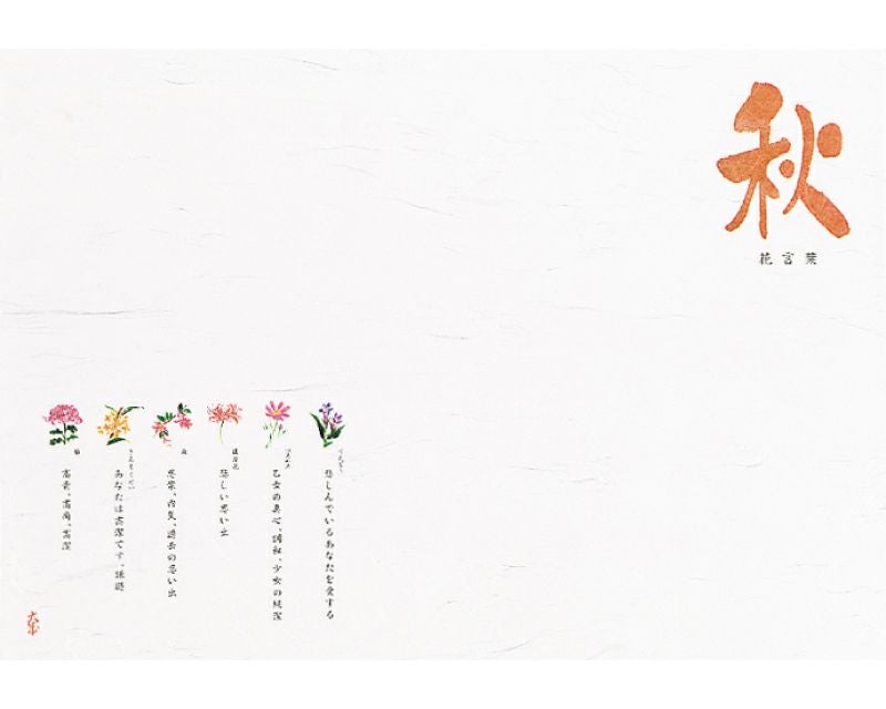  季節の敷紙（大） 花ことば　秋 